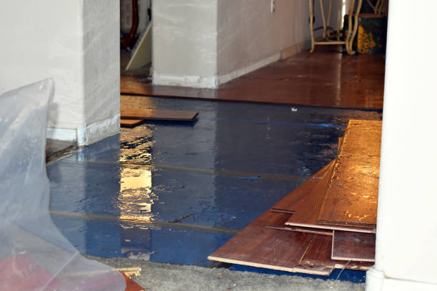 Professional Water Extraction technician working in Godfrey, IL